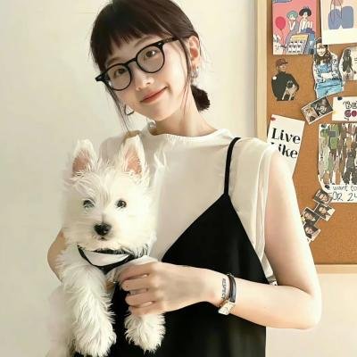 纽约行动